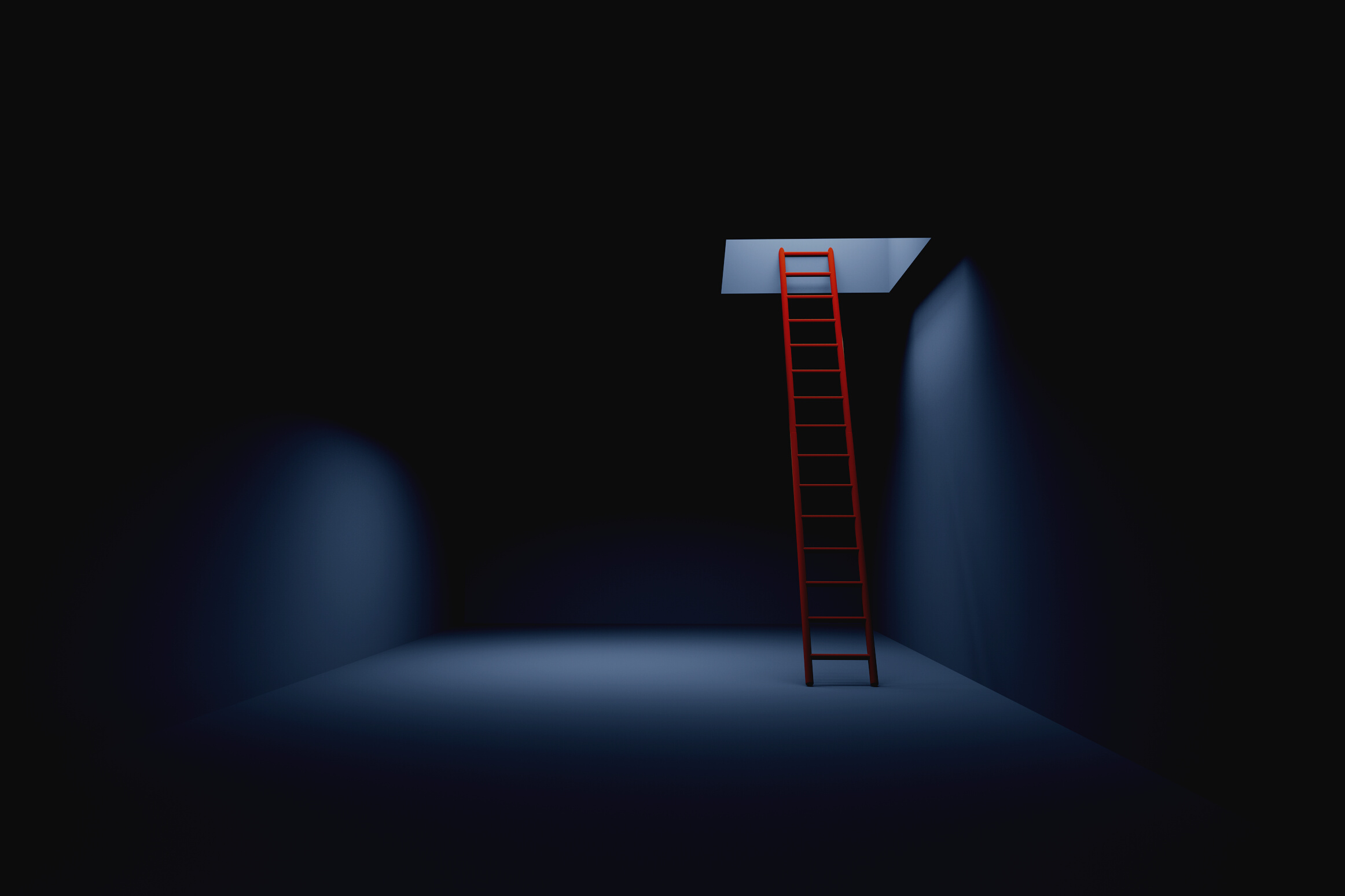 Ladder to Freedom